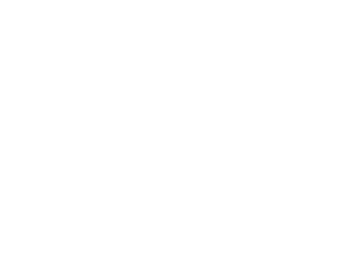 Hotel Executive Inn white logo